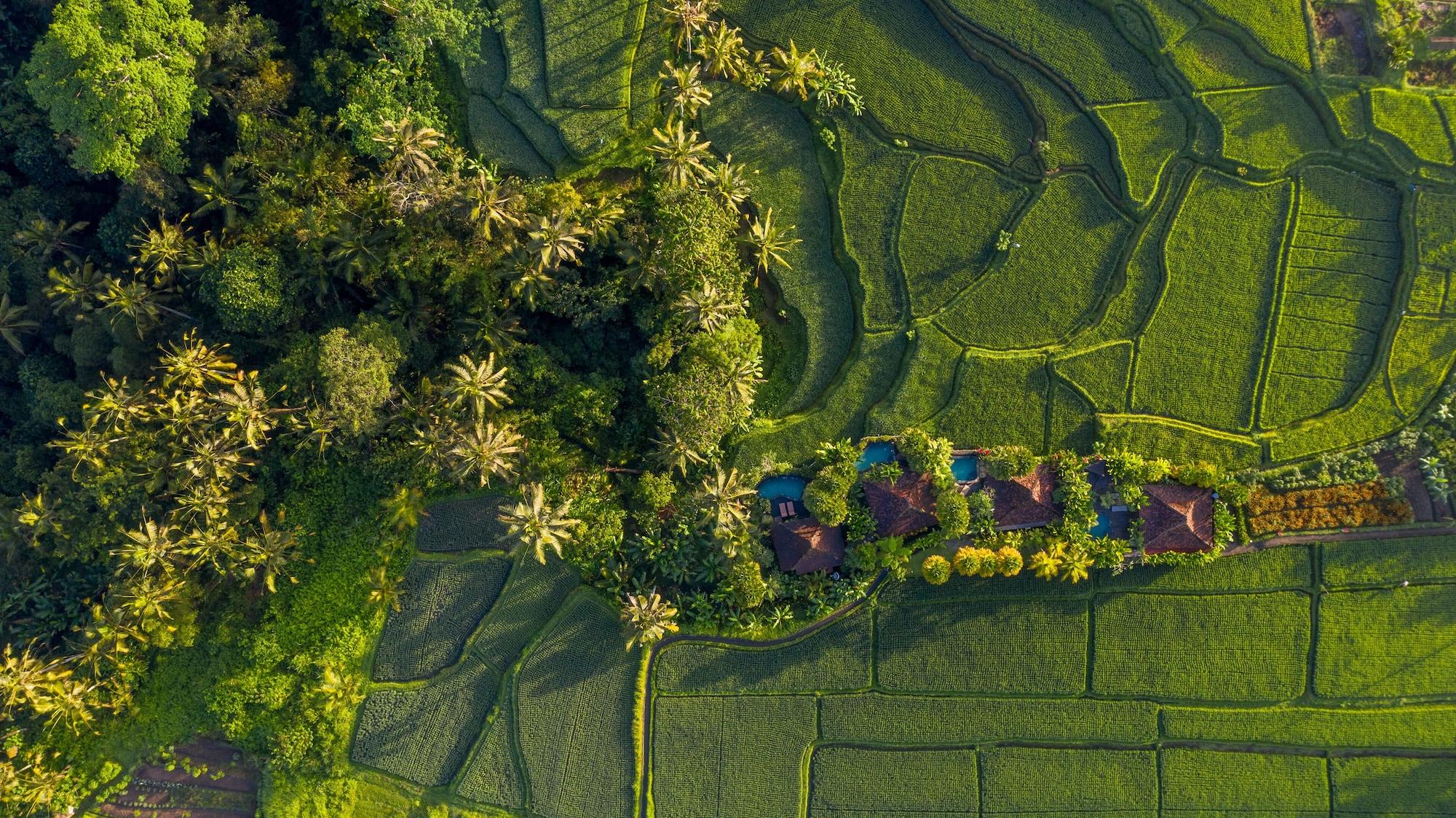 Madani Antique Villas Убуд Екстериор снимка